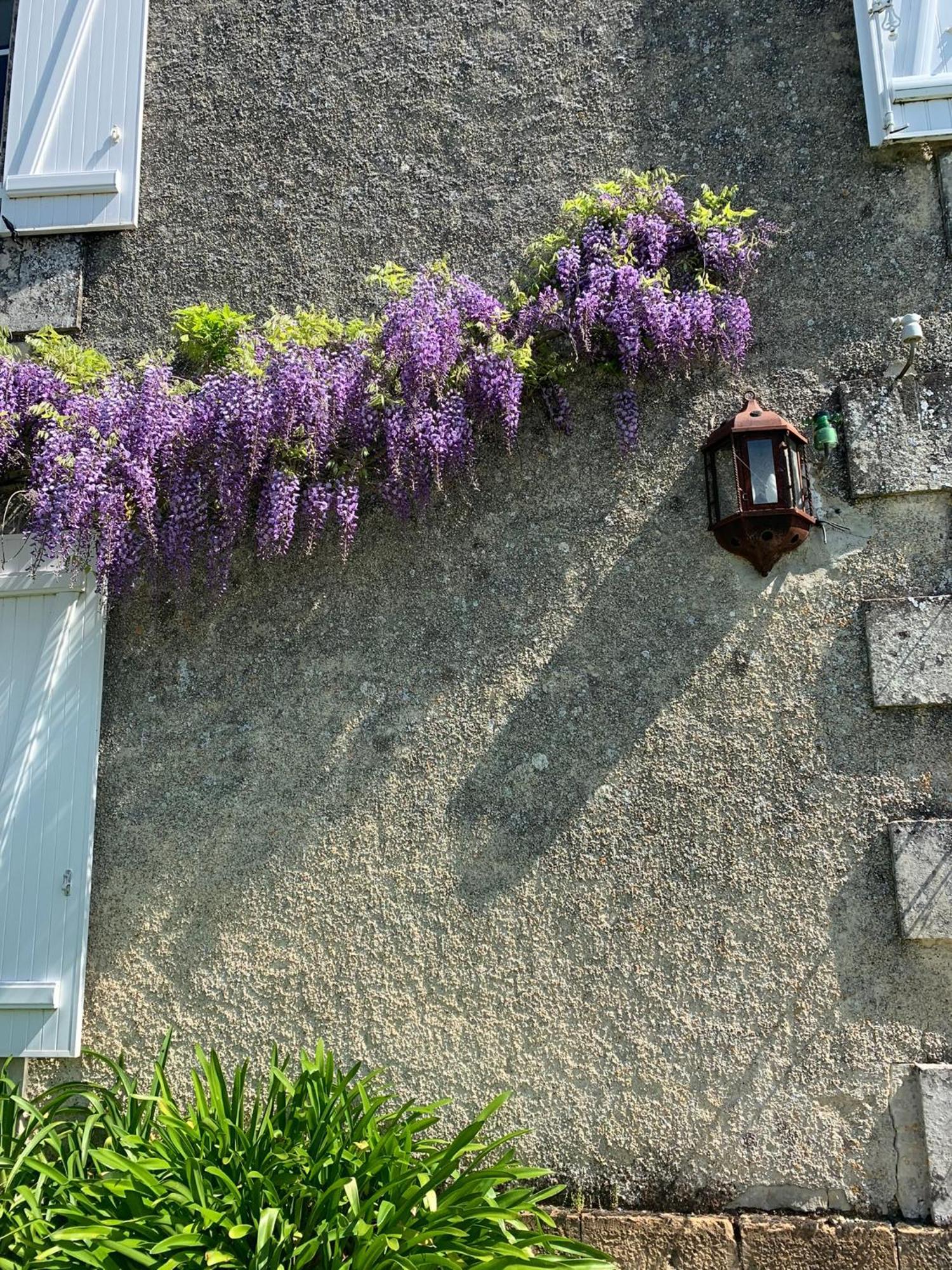 No5 Chambre D'Hotes Courcome المظهر الخارجي الصورة